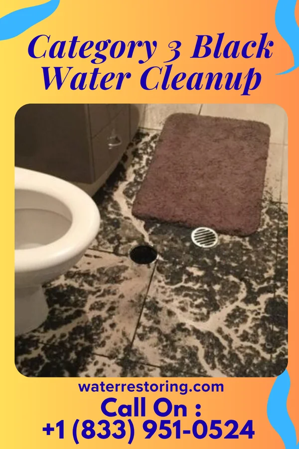 Category 3 Black Water Cleanup in North Bellmore, NY