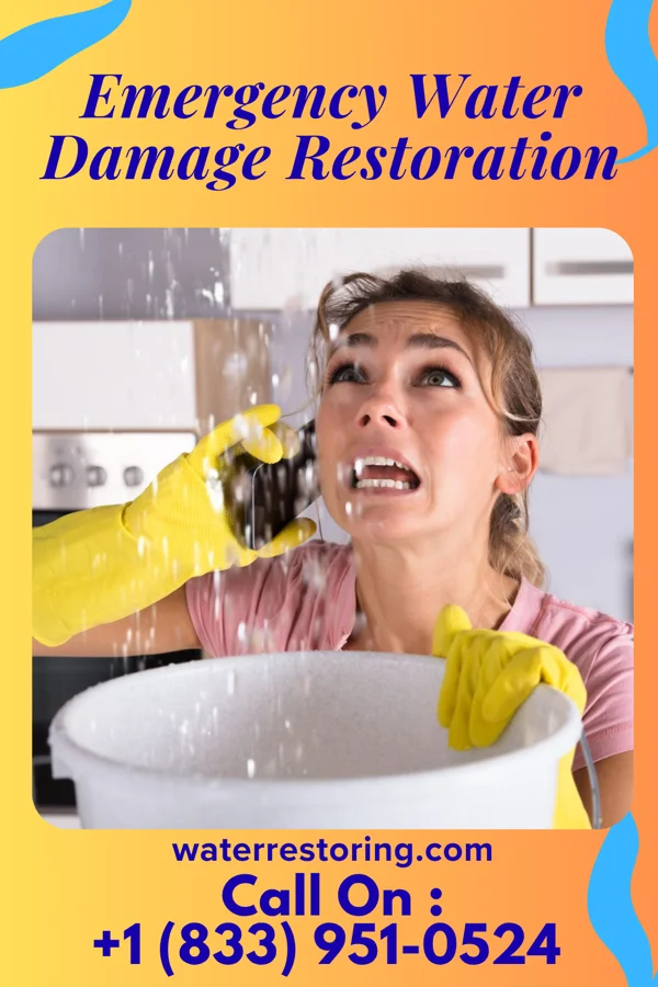 Emergency Water Damage Restoration in North Bellmore, NY