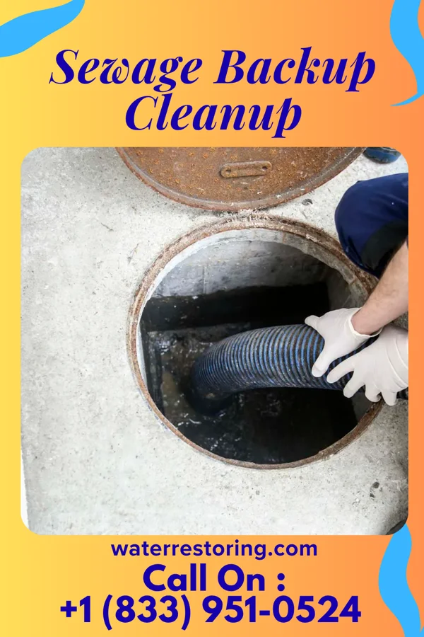 Sewage Backup Cleanup in North Bellmore, NY