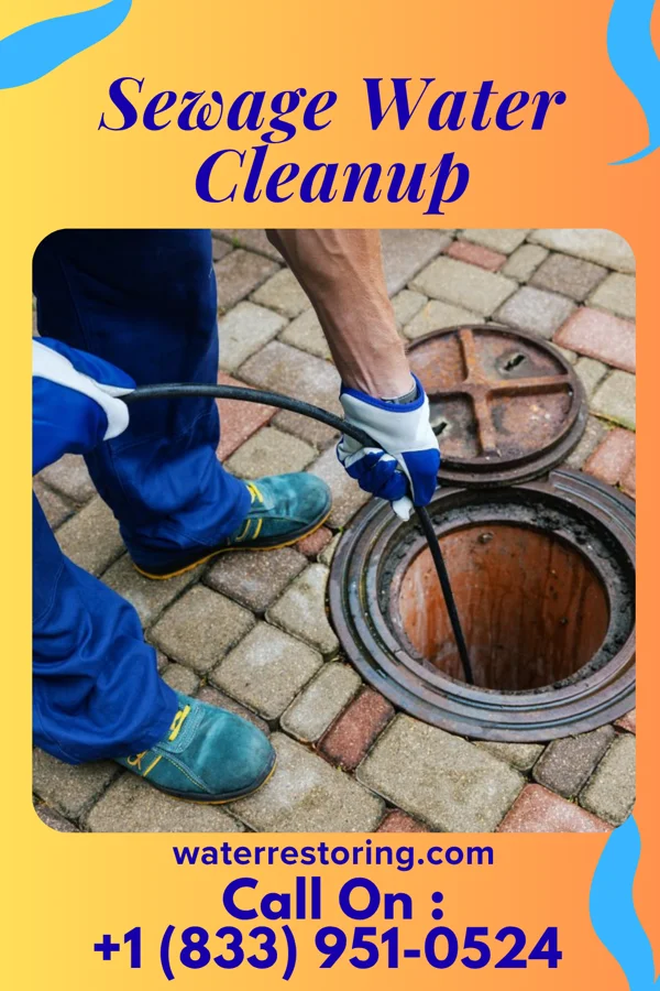 Sewage Water Cleanup in North Bellmore, NY